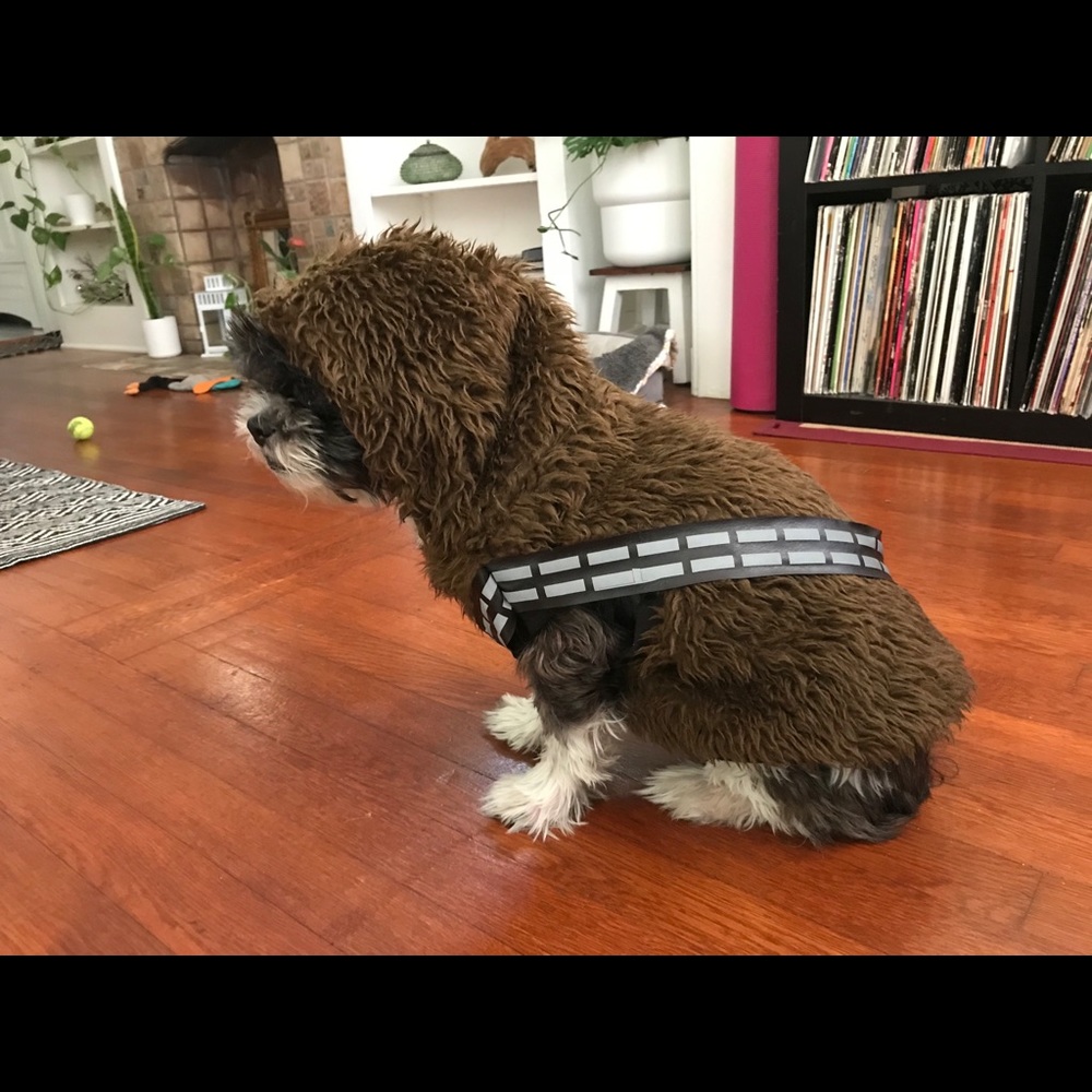 Star Wars Chewbacca Dog Costume